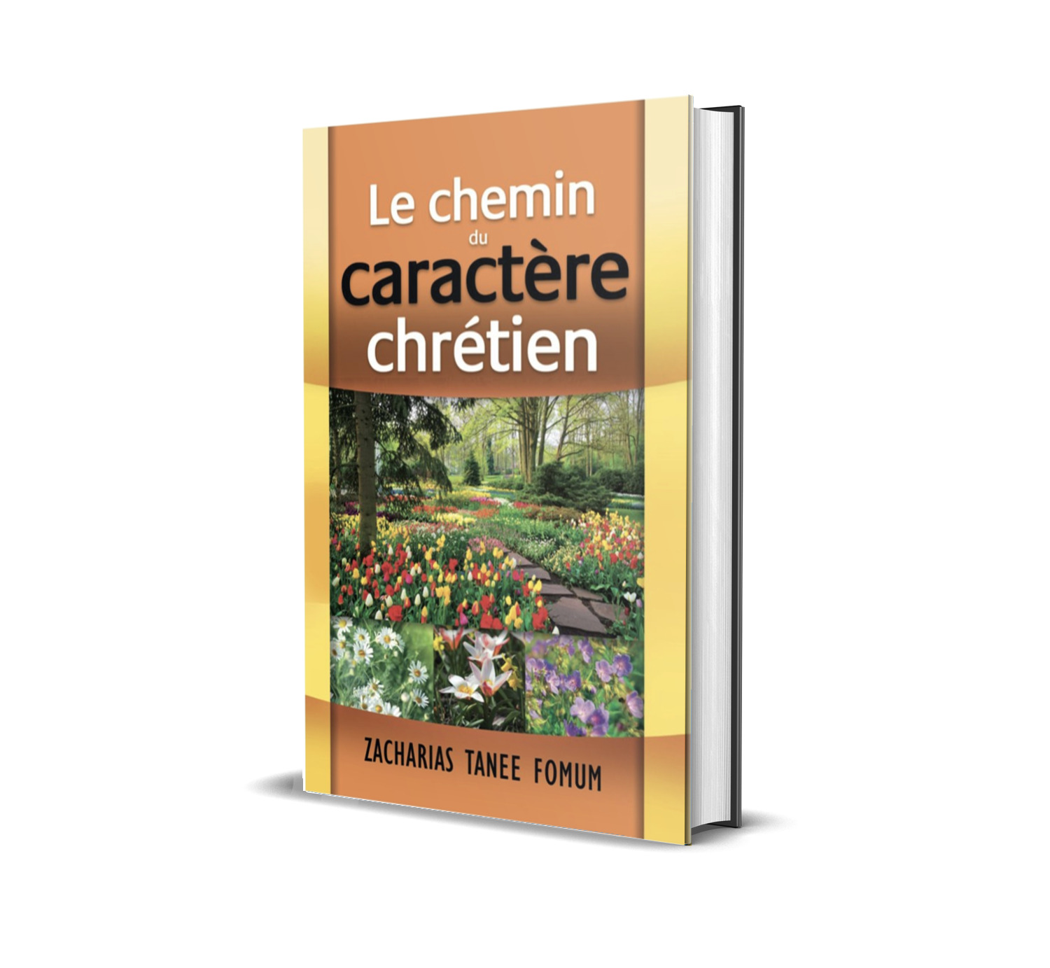 Le Chemin du Caractère Chrétien